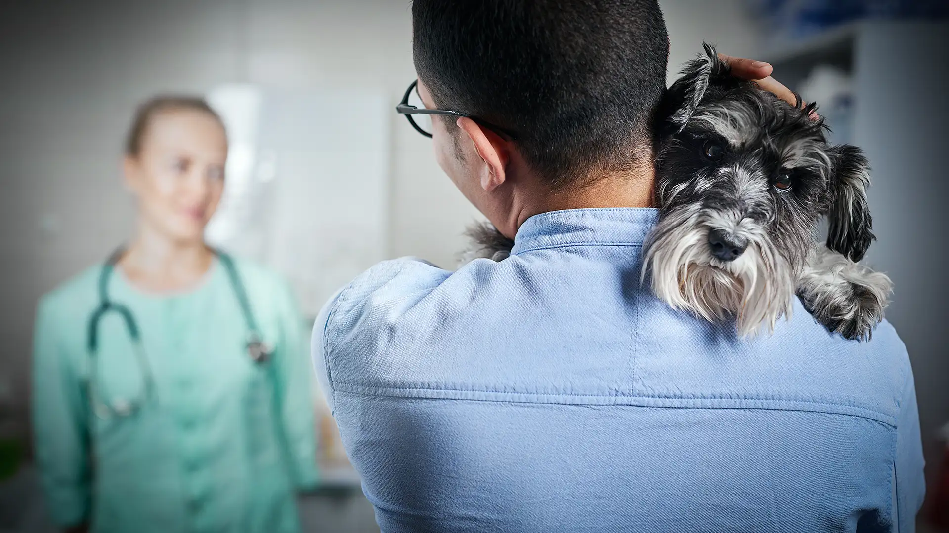 Locally-Owned Professional Vet Care