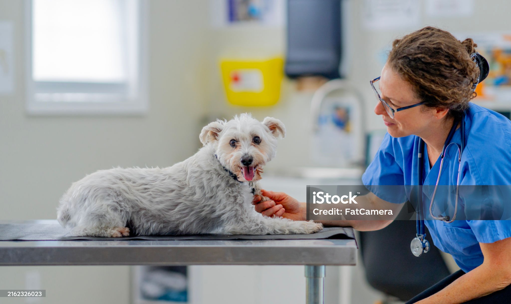 Our Care Team