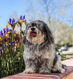 Allergies & Dermatology